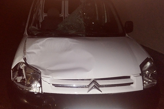На Прикарпатті затримано водія, який смертельно травмував людину та втік з місця пригоди (ФОТО) (фото) - фото 1