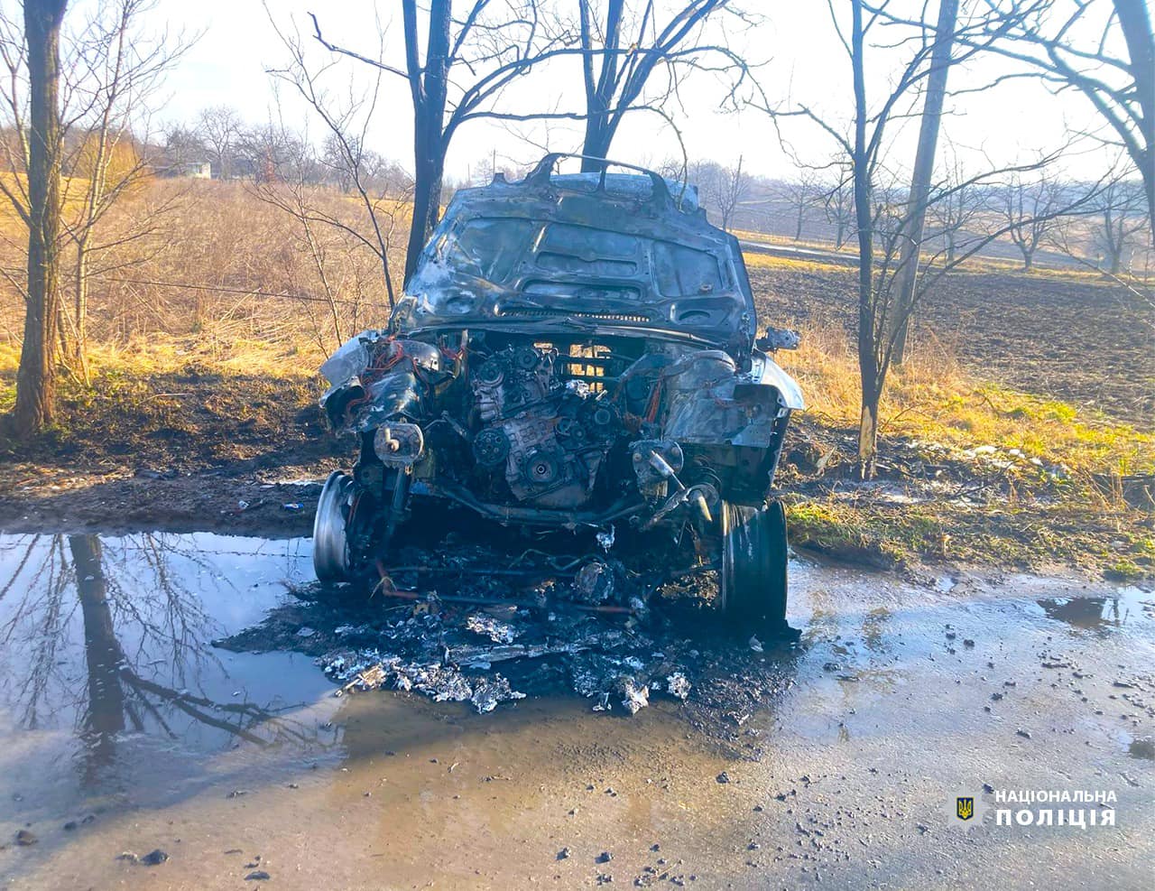 Автівка загорілась: на Прикарпатті нетверезий водій врізався в дерево (ФОТО)