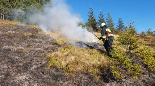 Залучили 14 рятувальників: на Івано-Франківщині загасили пожежу чагарників (ФОТОФАКТ)
