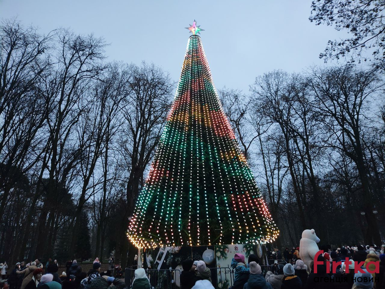 Відкриють на День Миколая: в Івано-Франківську встановлять штучну ялинку та святкові арки