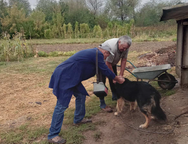 На Прикарпатті провели профілактику сказу: за тиждень вакцинували майже п'ять тисяч тварин