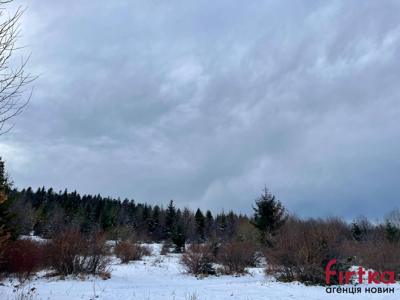 Дощ з мокрим снігом: якою буде погода на Івано-Франківщині 21 листопада