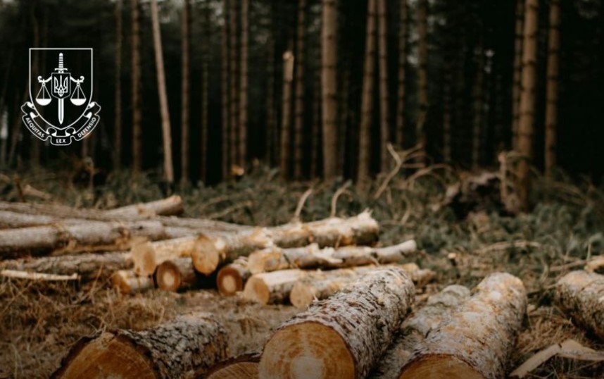 Завдали збитків на понад 20,5 мільйона гривень: поблизу Буковелю викрили схему привласнення лісових земель