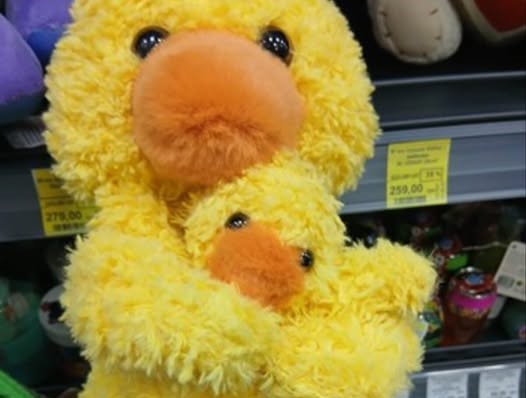 На Івано-Франківщині виявили небезпечну іграшку «Качка з каченям»