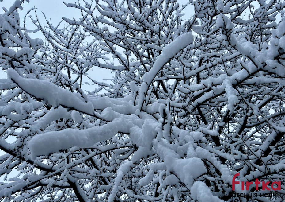 Можливий туман: якою буде погода на Івано-Франківщині 14 грудня