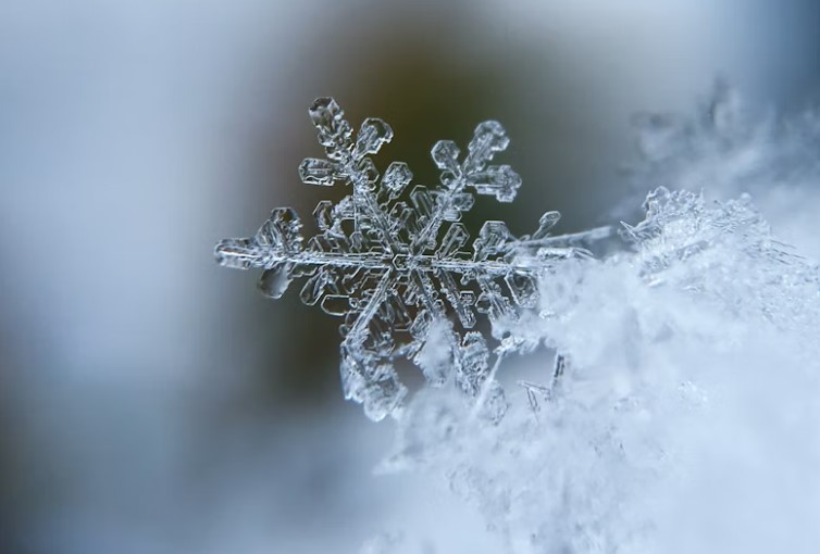 На Івано-Франківщині для розчищення доріг державного значення працювали 35 одиниць спецтехніки