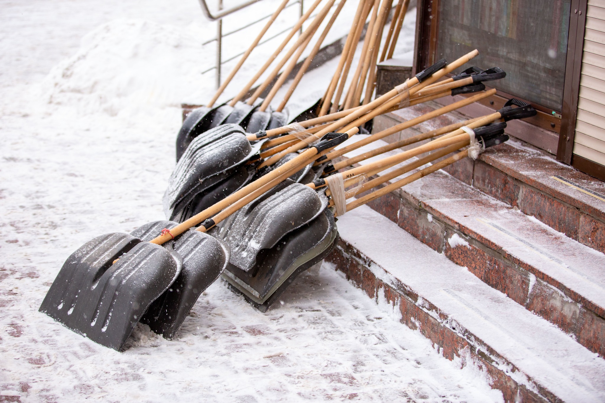 Озеро, сквери, парки: як чистять рекреаційні зони в Івано-Франківську під час снігопадів