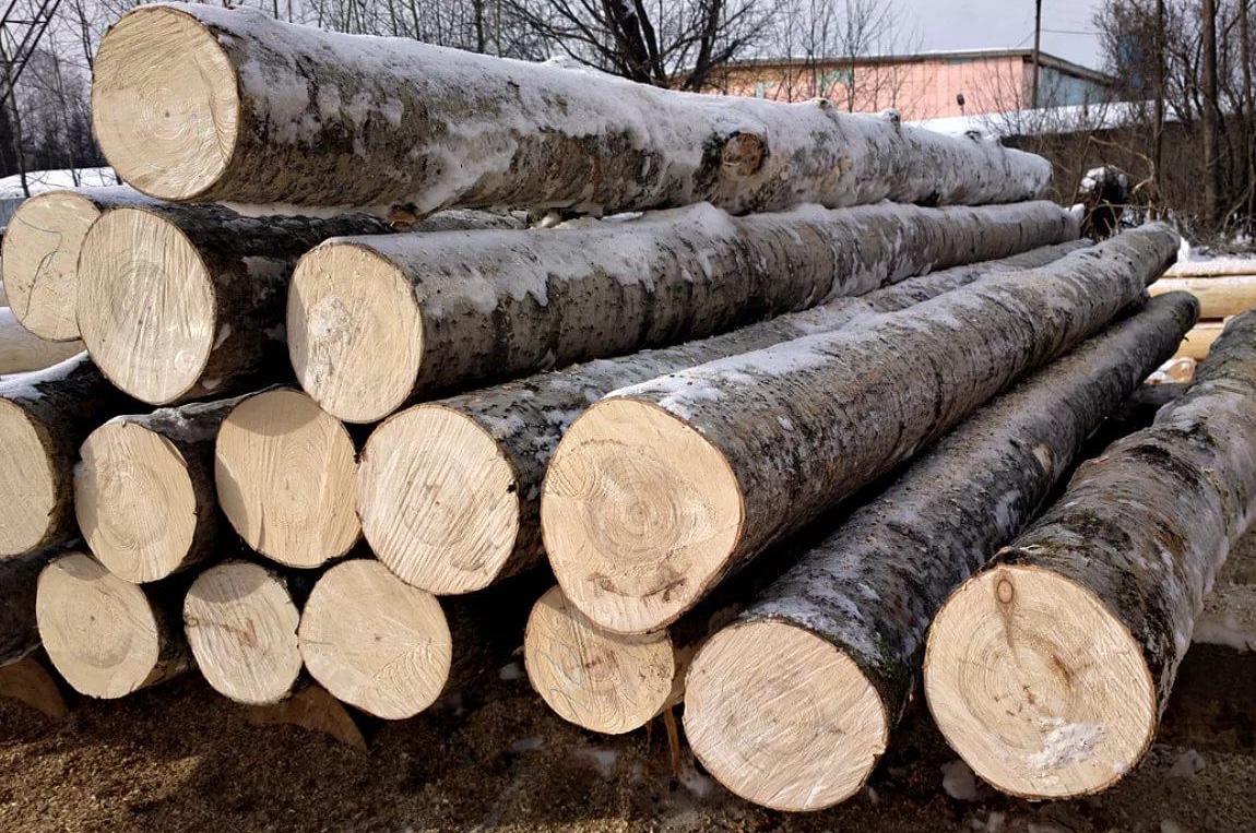Затримали на місці незаконної вирубки: на Івано-Франківщині чоловік спиляв дві осики бензопилою