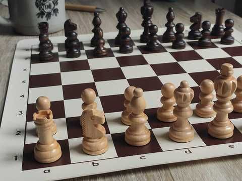 Через брак приміщень і тренерів: на Прикарпатті дітей залучають до шахів переважно онлайн