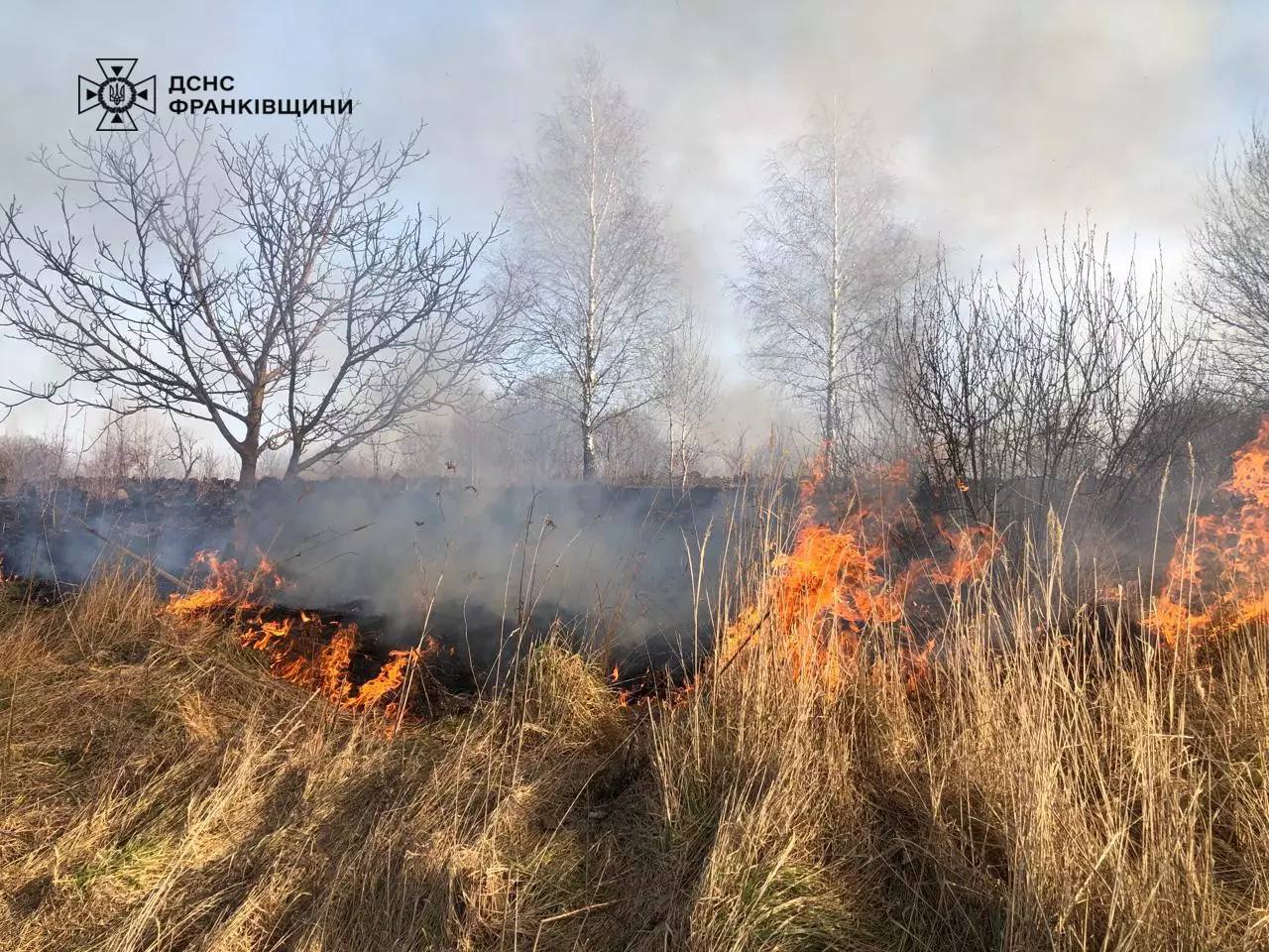 Площею понад 1800 квадратних метрів: на Івано-Франківщині горіла суха трава