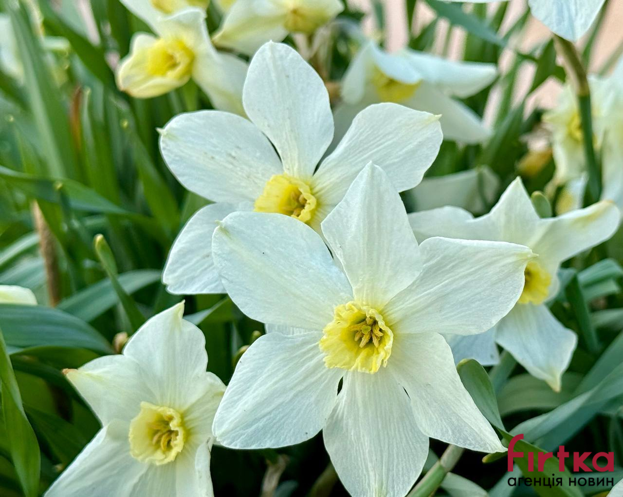 Мінлива хмарність: якою буде погода на Прикарпатті сьомого березня