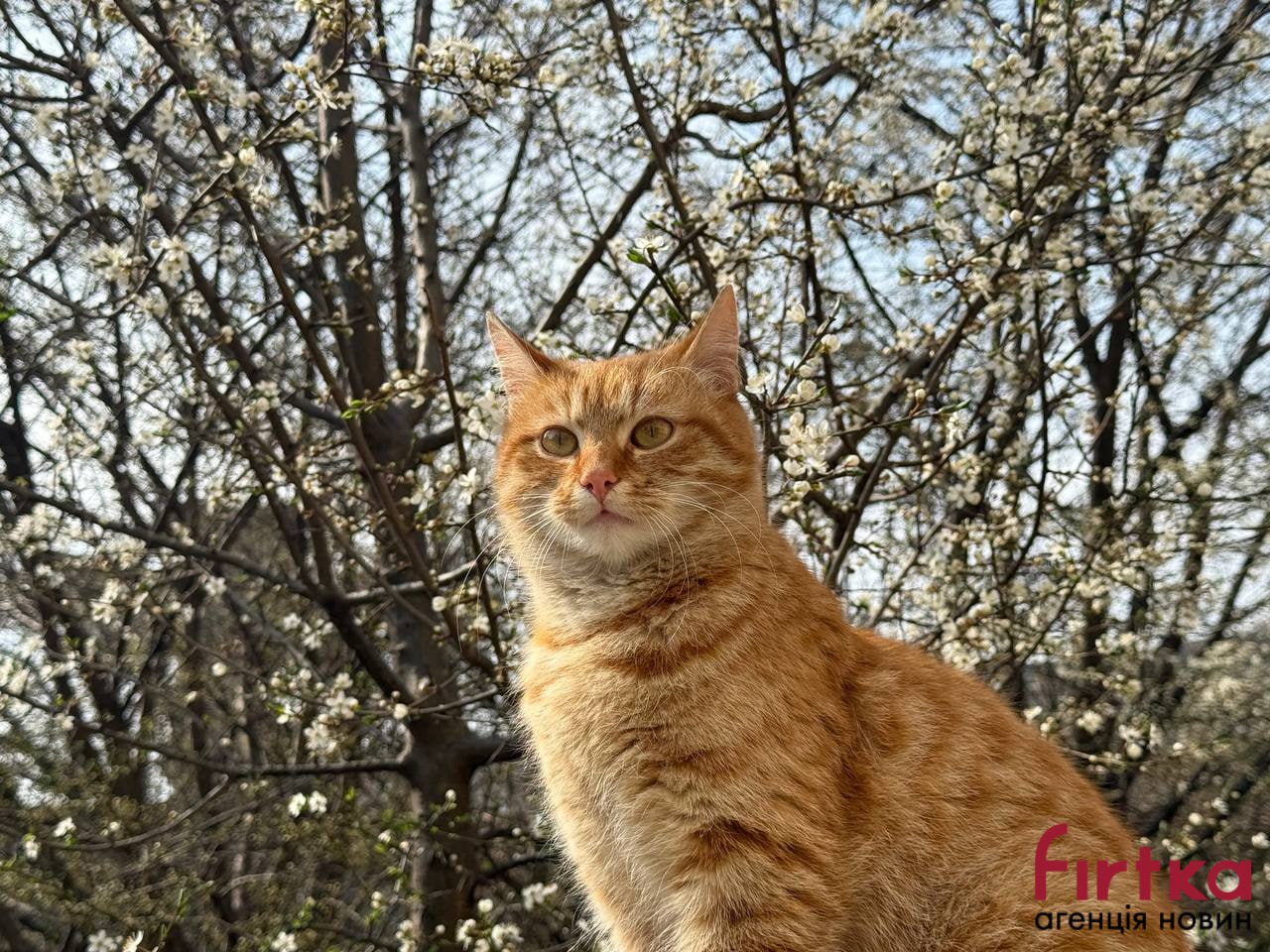 Мінлива хмарність: якою буде погода на Івано-Франківщині 16 березня