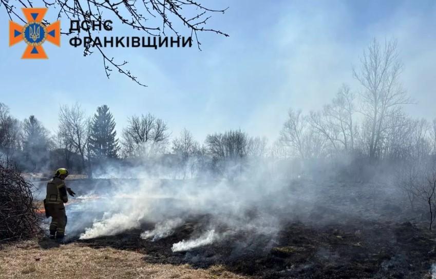 На Івано-Франківщині за добу рятувальники ліквідували 16 пожеж у природних екосистемах