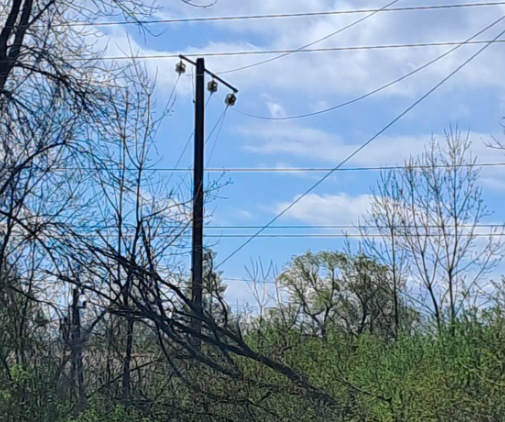 Роботи тривають: на Івано-Франківщині відновили електропостачання в більшості споживачів