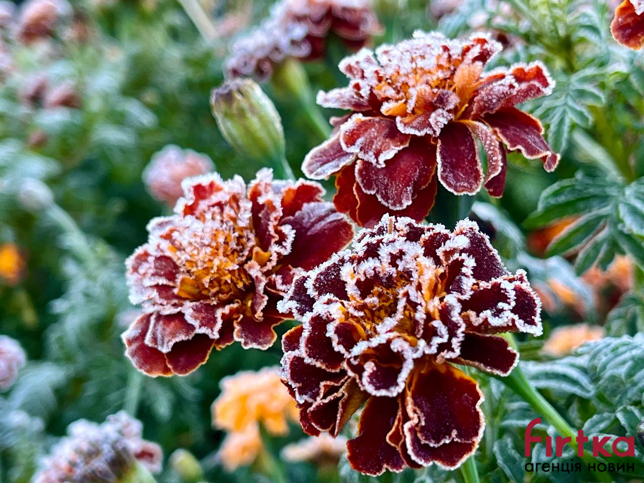 Прикарпатців попереджають про небезпечне метеорологічне явище
