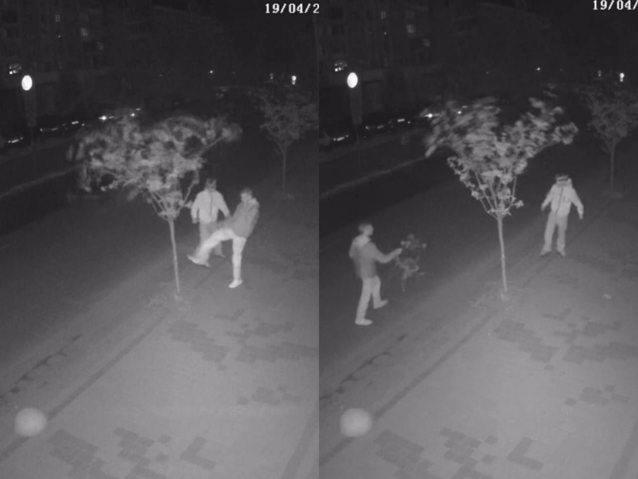 В Івано-Франківську неповнолітні понищили сакури — мер закликав батьків впливати на дітей