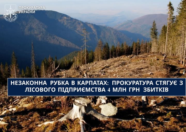 У Карпатах незаконно вирубали заповідні ліси: прокуратура через суд вимагає понад чотири мільйони гривень