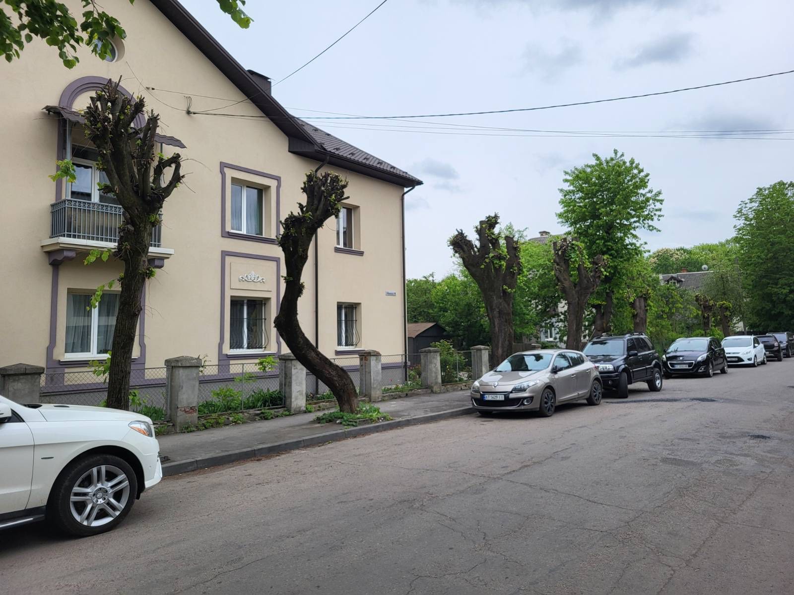 Підготували звернення до поліції: в Івано-Франківську шукають людей, які без дозволу обрізали липи