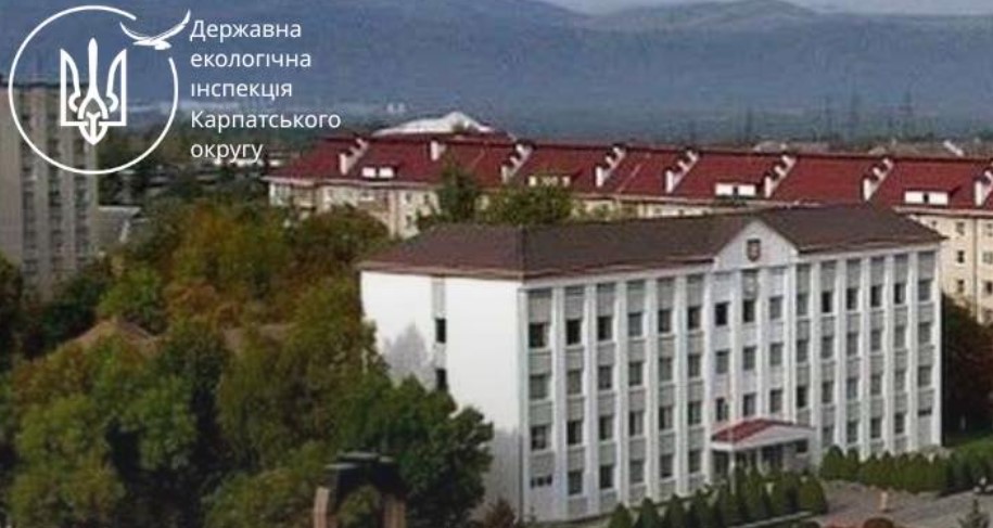 Мільйони гривень шкоди за незаконну рубку, забруднення річок і проблеми зі сміттєзвалищами: екологічна інспекція перевірила Долинську громаду