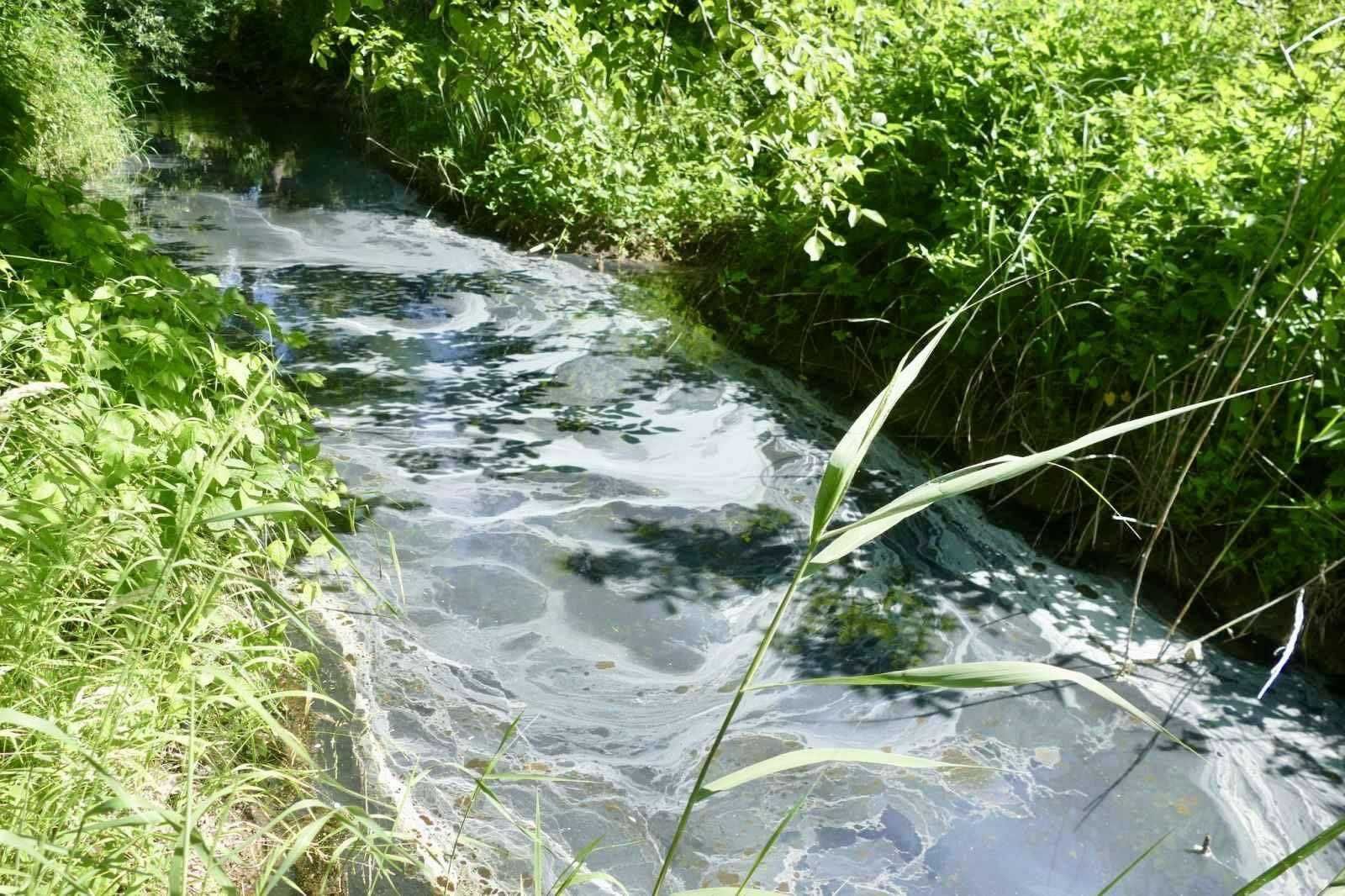 Вода сірого кольору та неприємний запах: на Калущині перевіряють забруднення річки Сівка