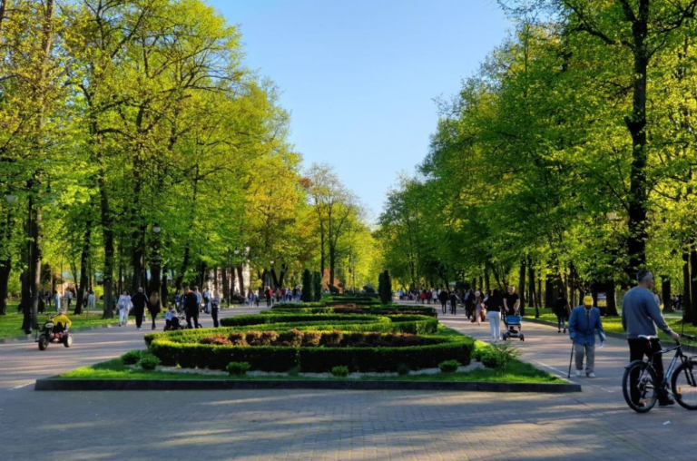 В Івано-Франківську влаштовуватимуть безкоштовні кінопокази просто неба: оприлюднили програму