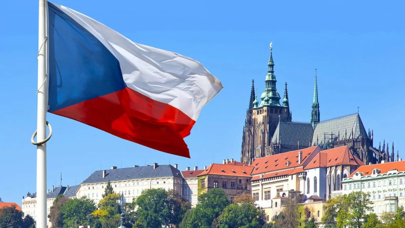 Яка чеська потрібна для гуманітарних, технічних і медичних спеціальностей