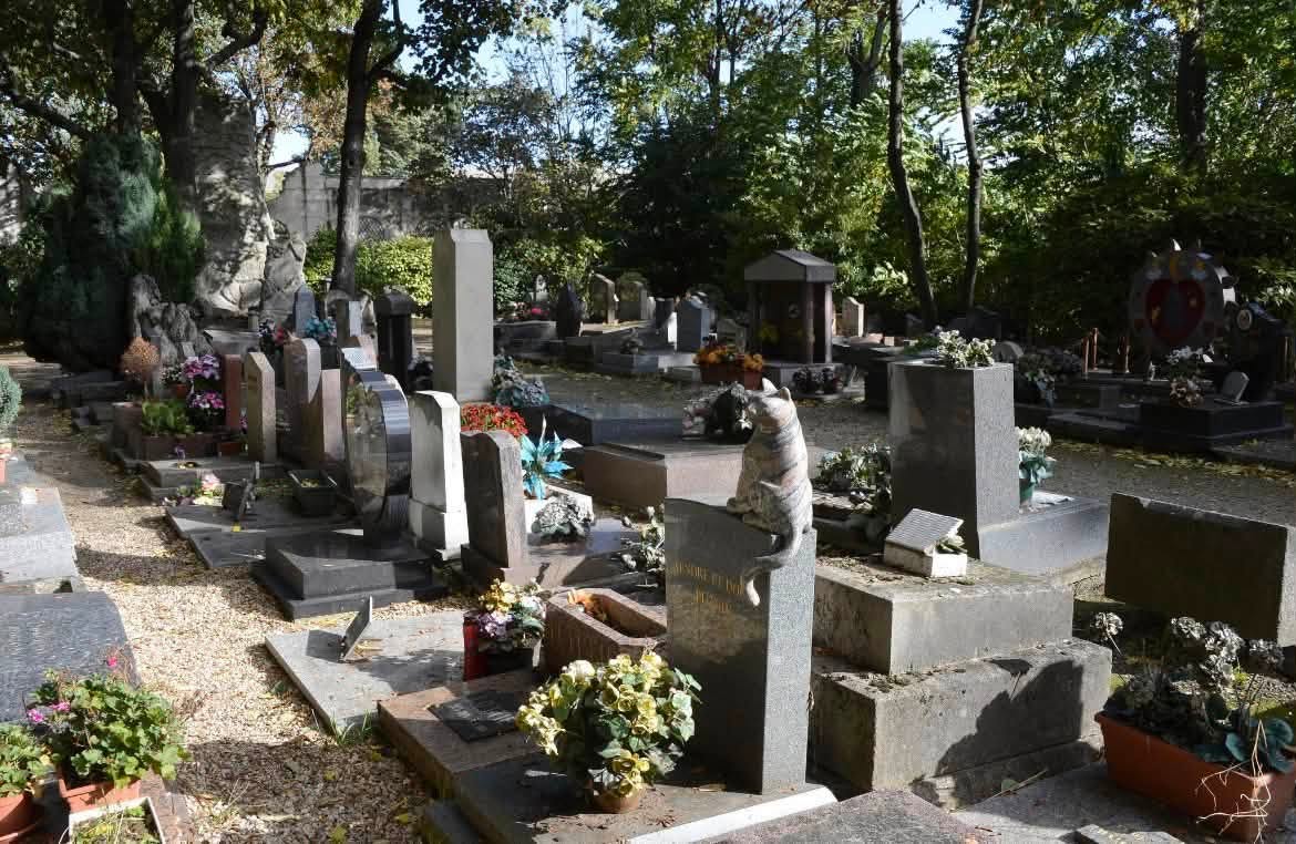 В Івано-Франківську вивчають можливість створення кладовища для домашніх тварин
