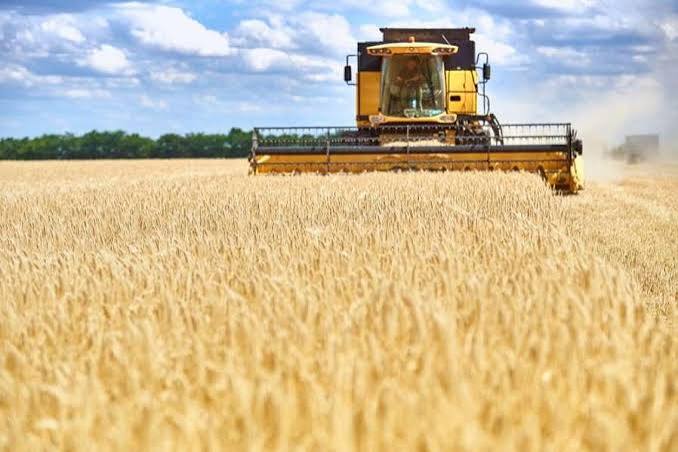 Уряд розширює доступ аграріїв до пільгових кредитів на тлі проблем з експортом