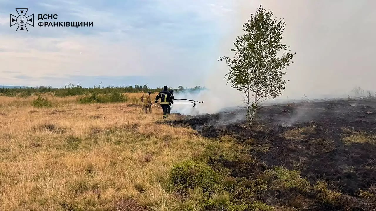 Залучили 16 рятувальників: на Прикарпатті горіли чагарники та суха трава