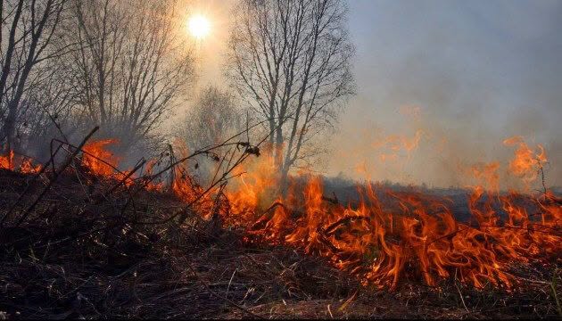 Дим над Калущиною: поблизу Рівні вночі гасили пожежу сухої трави