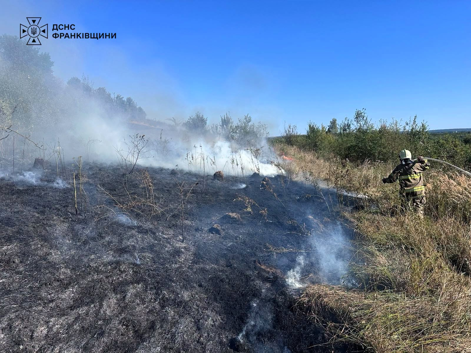 Пожежа охопила шість гектарів: на Прикарпатті рятувальники ліквідували займання
