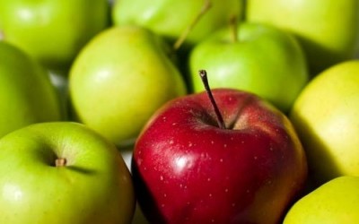 Яблука здатні продовжувати життя на 17 років, яблука, омолодження організму, імунітет, здорове харчування
