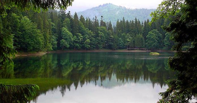 Озеро Синевір - гірське озеро в Карпатах на висоті 989 метрів над рівнем моря, Україна