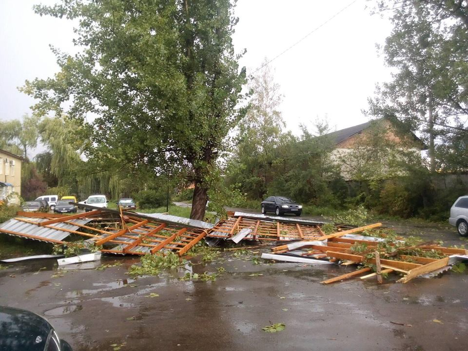 На Прикарпатті сильний вітер повалив дерева та позривав дахи (фотофакт)