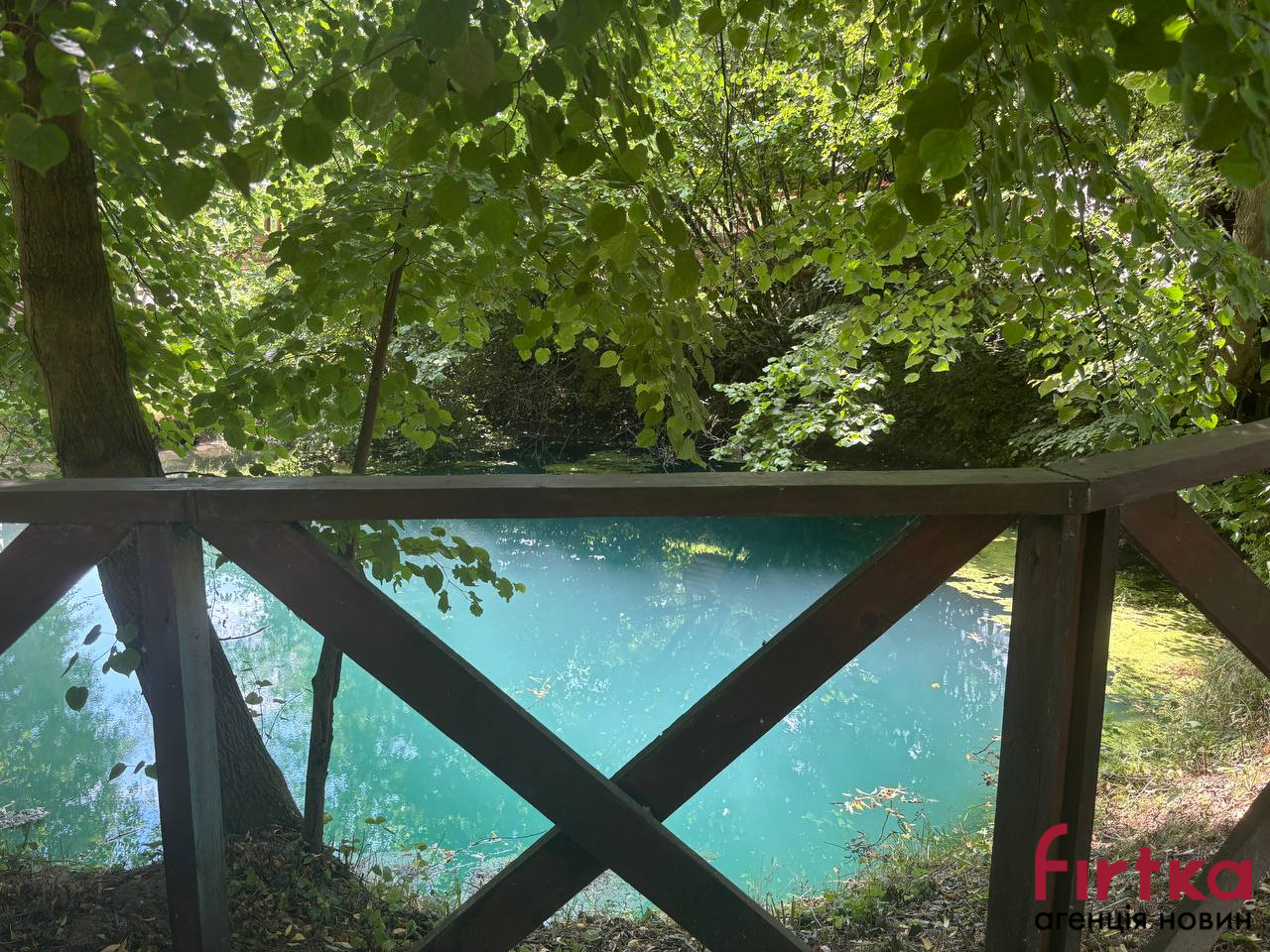 «Пропонують тишу»: як на Прикарпатті живе село з трьома мешканцями (ФОТО)