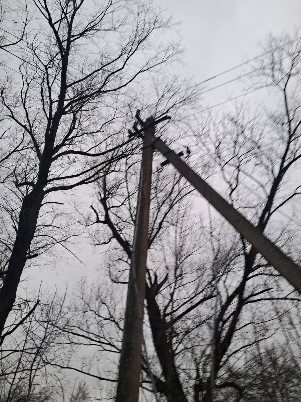 фото: пошкодження через негоду