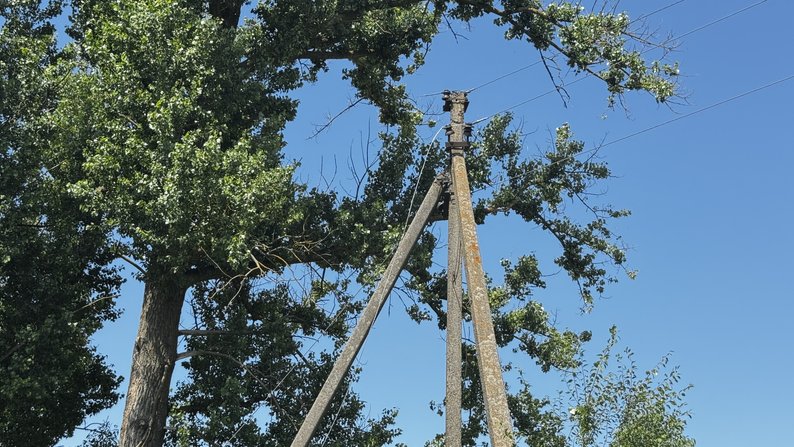Повалені дерева та знеструмлені населені пункти: наслідки негоди на Прикарпатті (ФОТО)