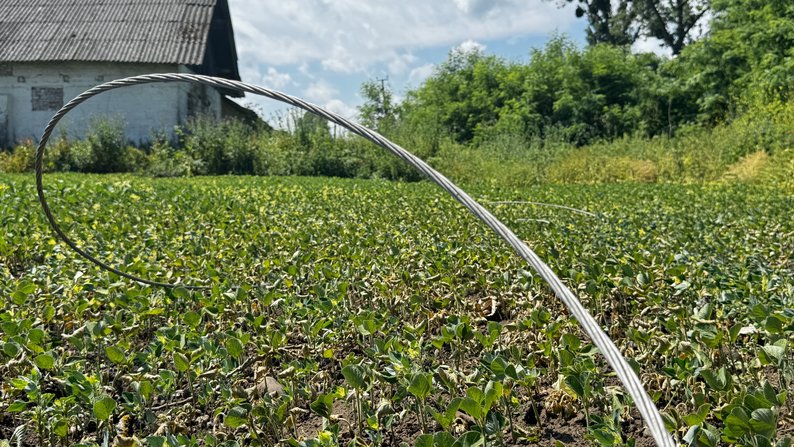 Повалені дерева та знеструмлені населені пункти: наслідки негоди на Прикарпатті (ФОТО)
