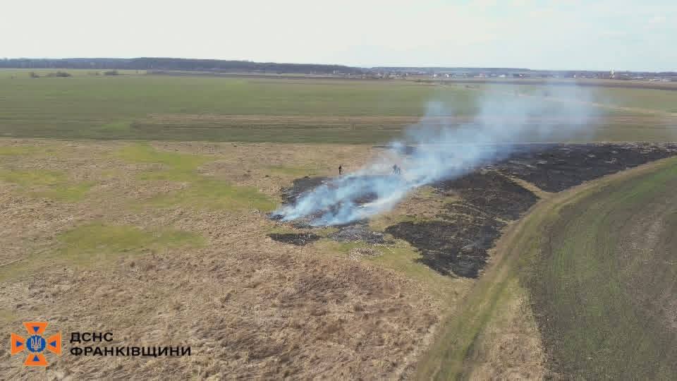 Притягнули до відповідальності двох паліїв: на Прикарпатті за добу ліквідували 24 пожежі в екосистемах