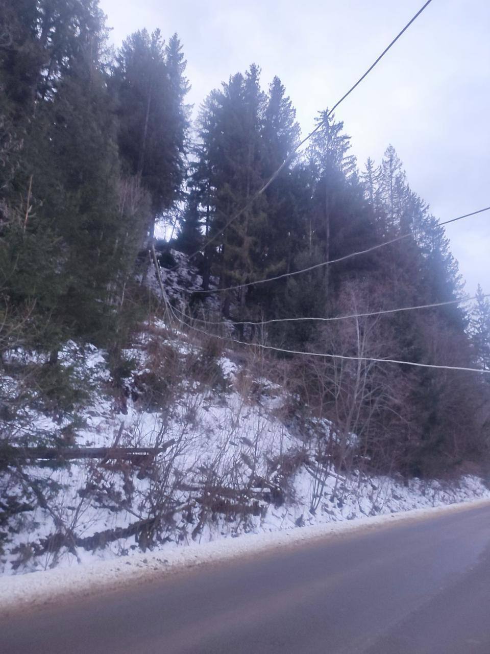 фото з місця події