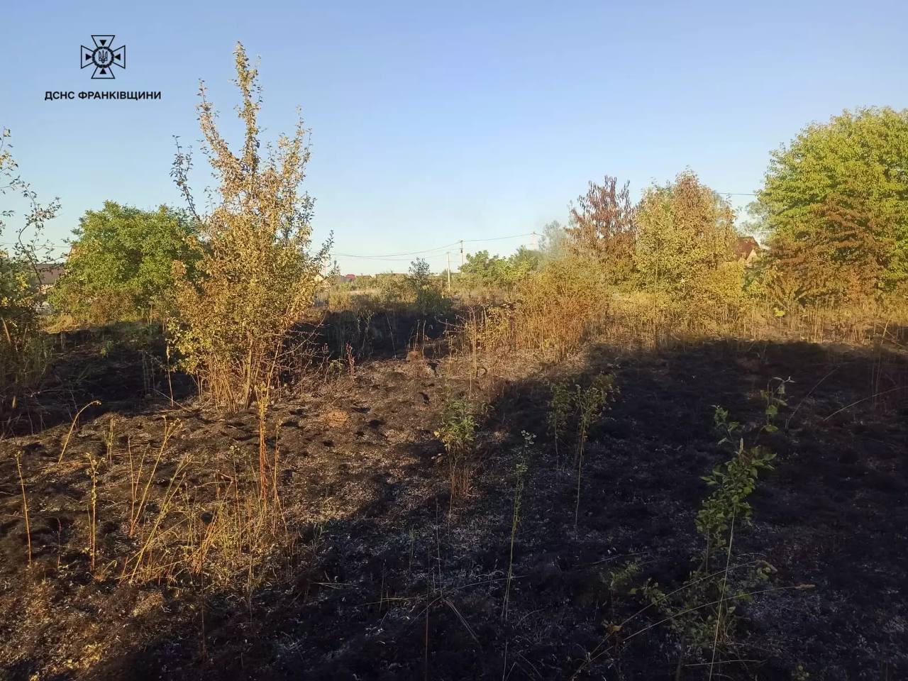 На Прикарпатті через спалювання сухої трави згорів будинок (ФОТО)