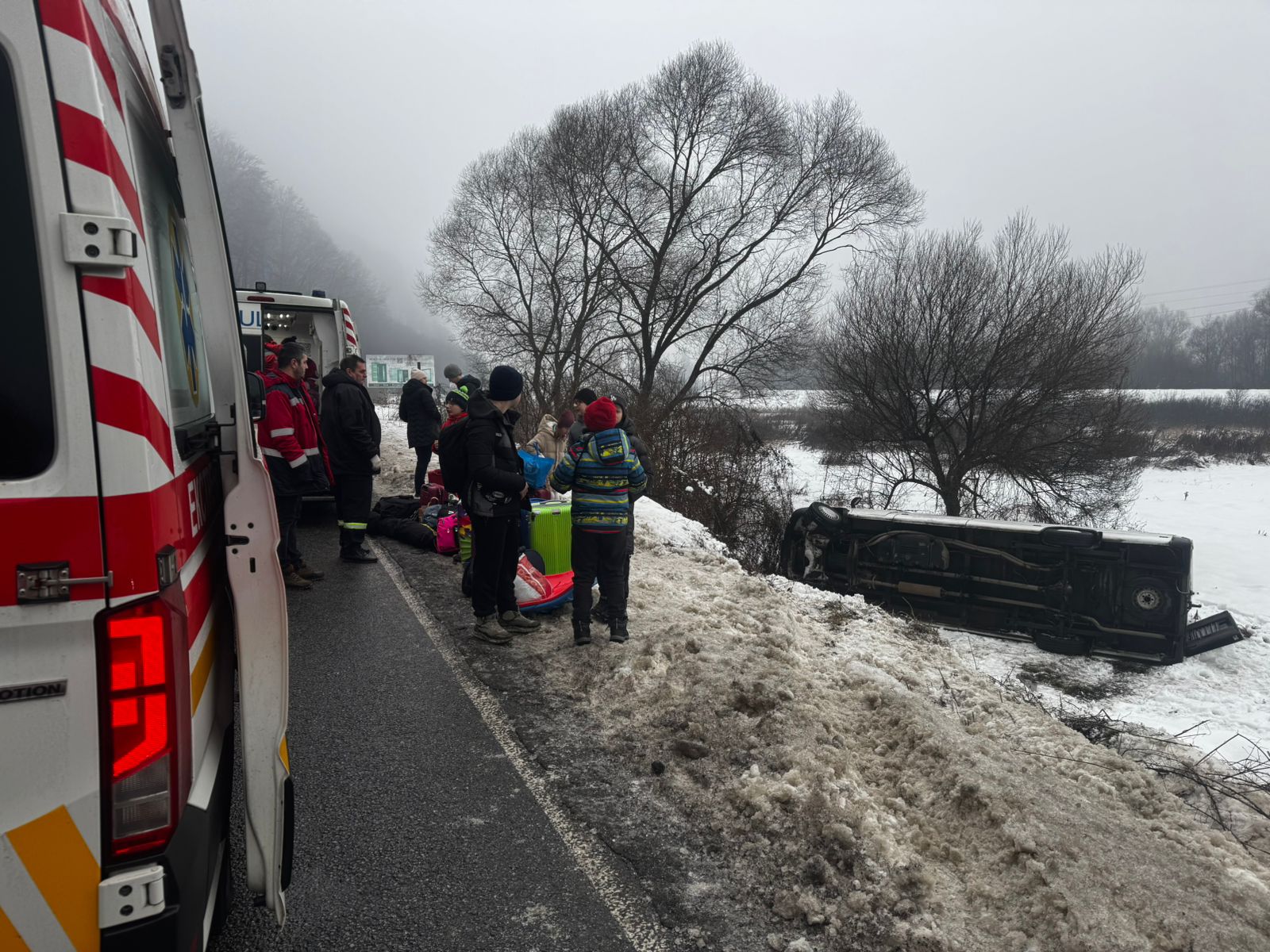 Їхали в Карпати на відпочинок: на Закарпатті перекинувся мікроавтобус з дітьми (ФОТО)
