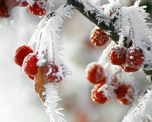 /data/blog/118077/3642e33cf17feff21bc60a38ba3f0caf.jpg