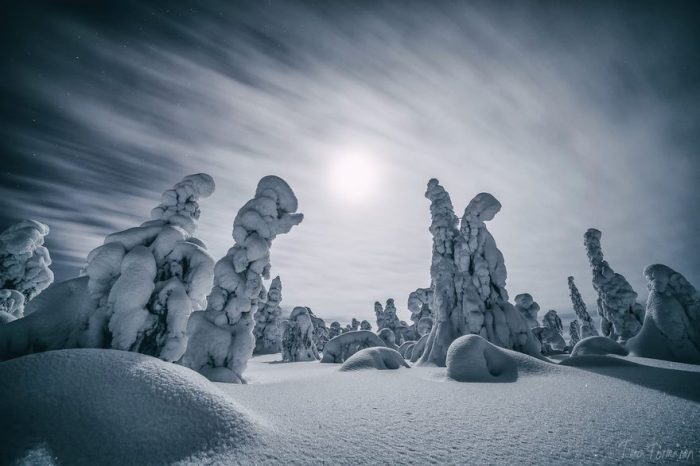 Снігові скульптури завмерли під білосніжними шапками.