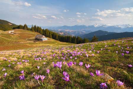 Мандруємо Карпатами: Маршрут на гору Кострич