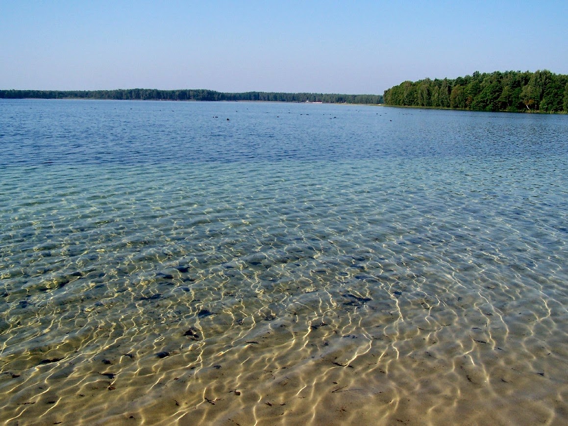 Чиста вода в озері Світязь