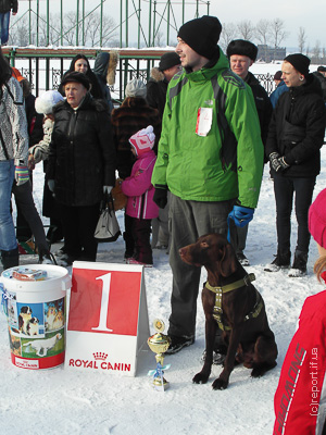 В Івано-Франківську відбулися зимові змагання собак в упряжках