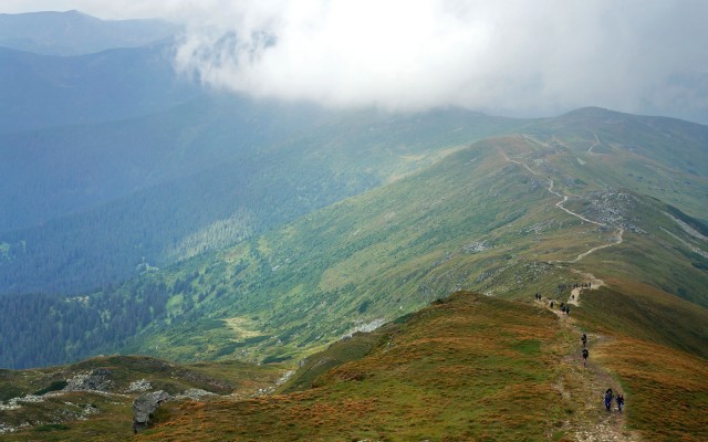 pic4-39