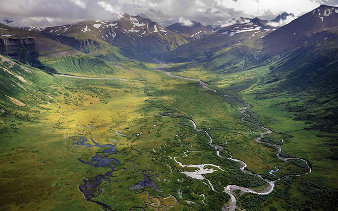 Дивовижні фотографії дикої природи Аляски