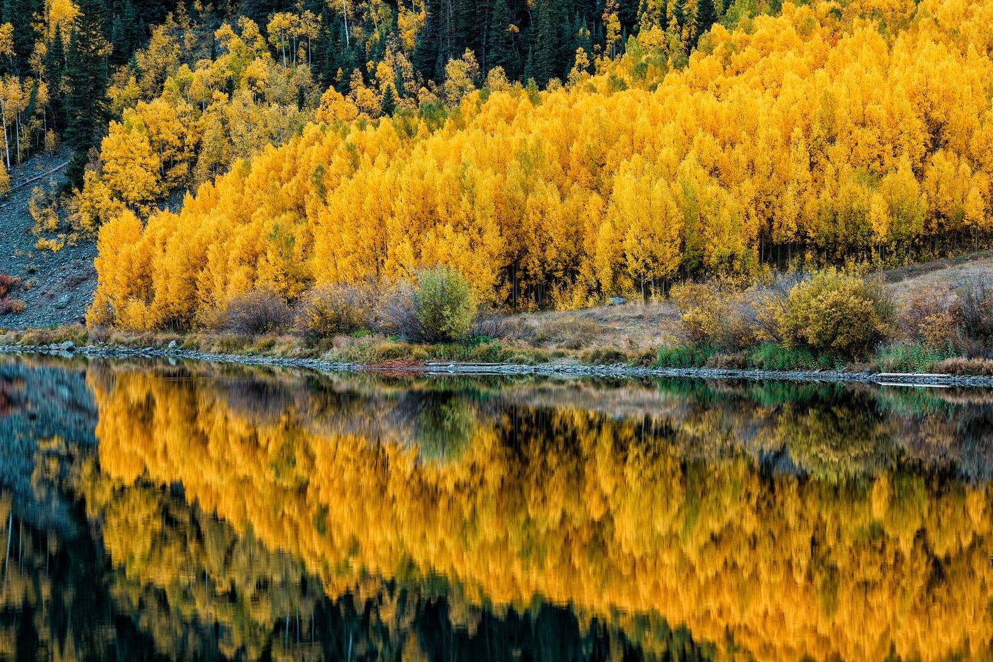 Осень. Золотая осень. Осенние краски природы. Золотая осень природа. Фото осень Золотая.